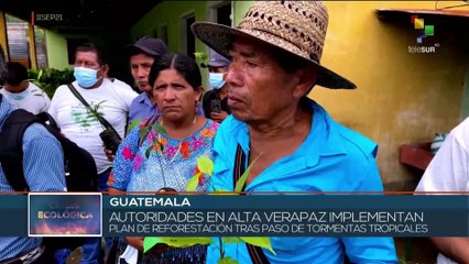 GUATEMALA: Sembrando sanamos la Tierra