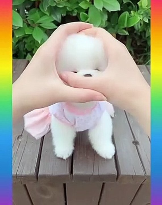 02_Cute and Funny Dogs Videos Compilation_- short ( 1080 X 864 )