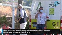 Más de 2.600 desalojados por el incendio forestal de Sierra Bermeja en Málaga