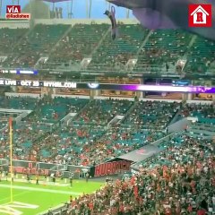 Aficionados salvan la vida a un gato en el Hard Rock Stadium
