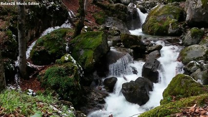 Rain forest Sounds - With snowfall Water Sound Nature Meditation