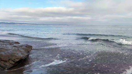 Pleasure Point | Santa Cruz CA
