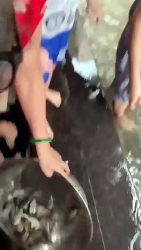 Người Đà Nẵng đeo khẩu trang nô nức ra đường bắt cá sau mưa lớn