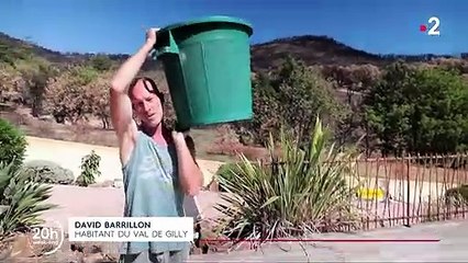 Incendies dans le Var : quel est le bilan trois semaines après ?