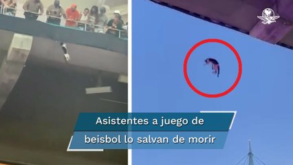 Gato al borde de la muerte, es salvado tras caer de gran altura en estadio
