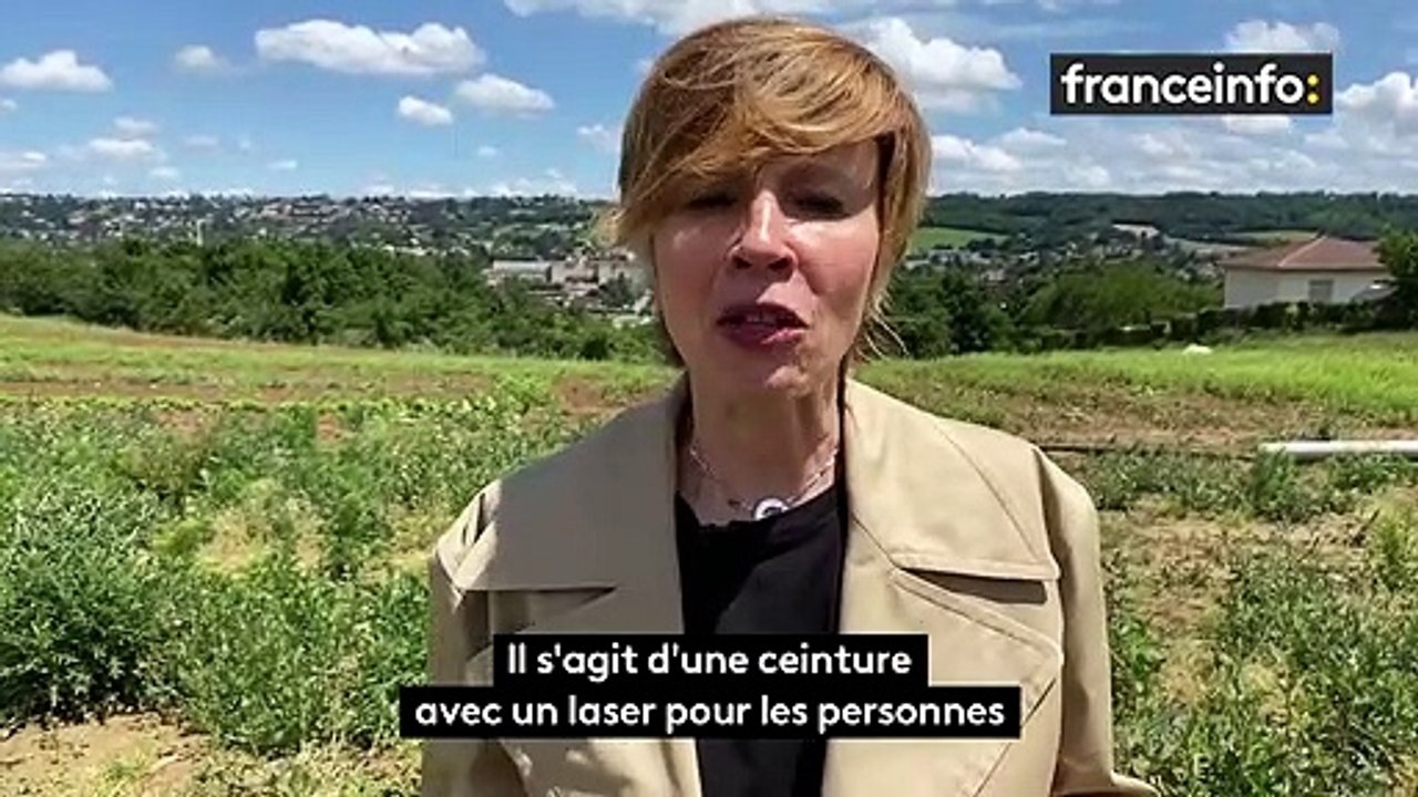 Des lycéens primés pour leur ceinture laser qui aident les malades de Parkinson à marcher