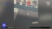 [이슈톡] 경기는 뒷전..추락 고양이 구조 대작전