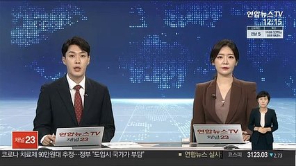 자위대 구출 못 한 아프간인 4명, 자력으로 일본 입국