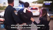 Israel captures four escaped prisoners