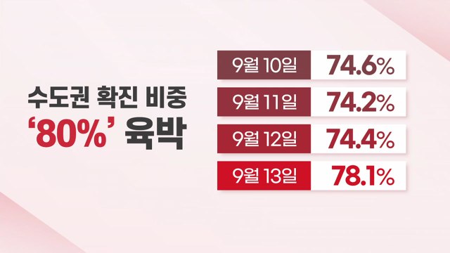 [더뉴스] 수도권 확진자 비중 80% 육박...전국적 재확산 '분수령' / YTN