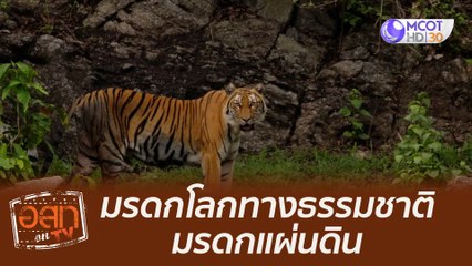 มรดกโลกทางธรรมชาติ มรดกแผ่นดิน : อสท ออน ทีวี (12 ก.ย. 64 )