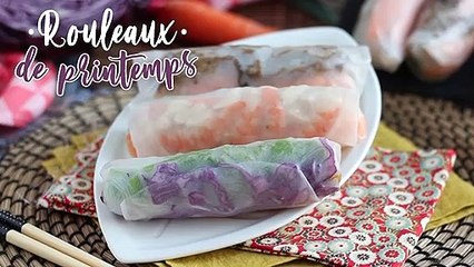 Rouleaux de printemps - bœuf mariné