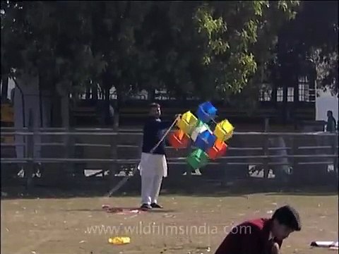Kites galore at the Kite Festival in New Delhi, India