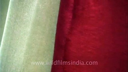 Silk chiffon sarees