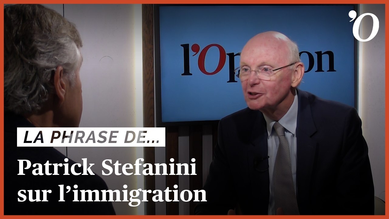 «On nous a caché une vague migratoire extrêmement puissante», dénonce Patrick Stefanini