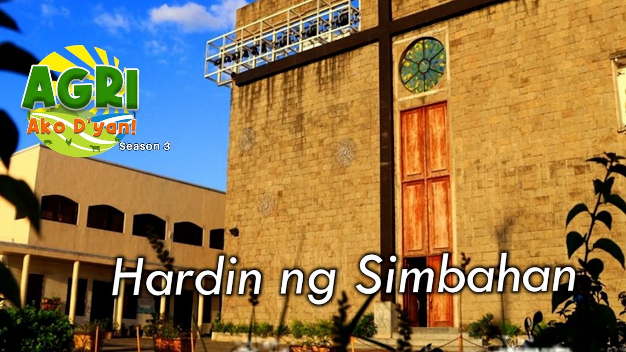 Hardin ng Simbahan