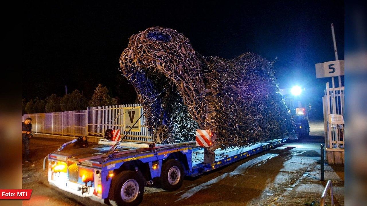 Virtuelle Kaffeetasse Ungarns am 13.09.2021