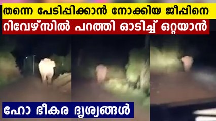 Video: Wild Tusker Creates Panic In Attappadi Village | Oneindia Malayalam
