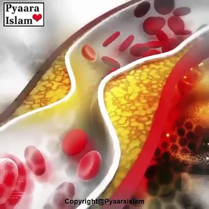 Advantages of Hot and Normal Water fr Human health In World