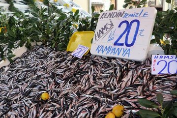 Hamsinin fiyatı 20 liraya düştü