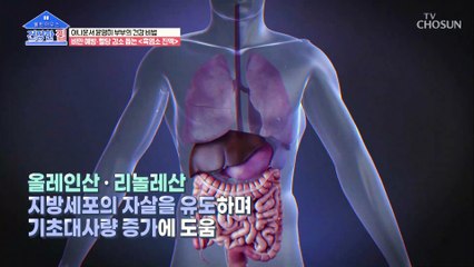 다이어트·당뇨를 동시에 잡는 『○○○』 TV CHOSUN 202100913 방송