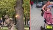 Letonya'da sokak ortasında yapılan tatbikat büyük tepki çekti! Savunma Bakanlığı halktan özür diledi