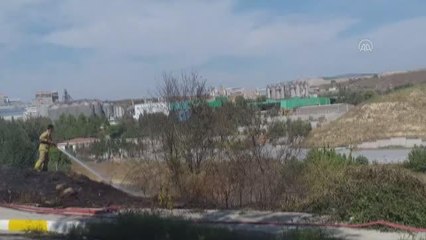 Pendik'te otluk alanda çıkan yangın itfaiye ekiplerince söndürüldü