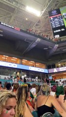 Stadium-Goers Use Flag to Catch Falling Cat