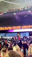 Cat Falls From Stadium's Upper Floor