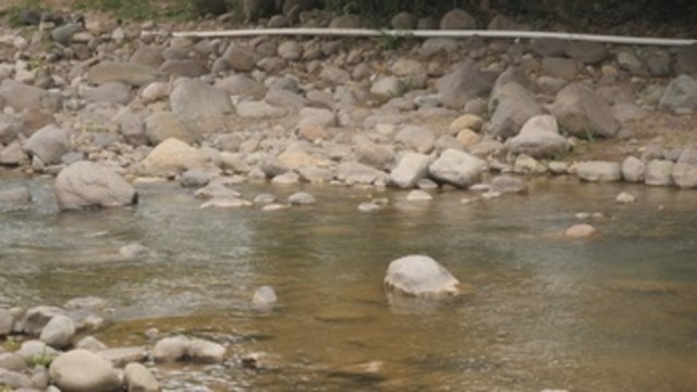 Colombia y México encabezan los países donde más asesinan a líderes ambientales