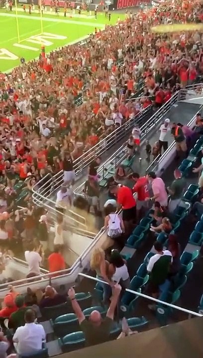 Des supporters amortissent la chute d'un chat (Miami)