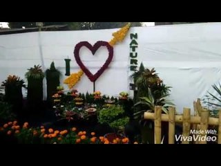 राणीच्या बागेत अवतरले मिकीमाऊस, डोरेमॉन