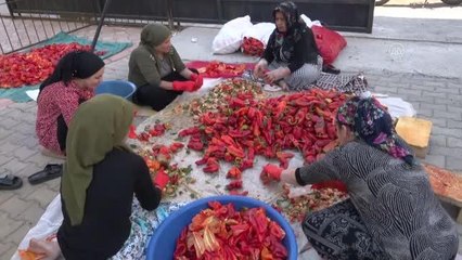 GAZİANTEP - "Gastronomi kenti" Gaziantep'te kadınların salça telaşı