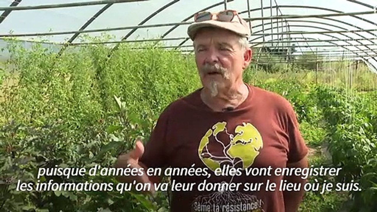Les semences paysannes, enjeu clé pour l'avenir de l'agriculture bio