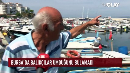 Bursalı balıkçılar umduğunu bulamadı! İşte fiyatlar...