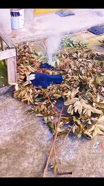 Cet oiseau éteint les feux... Aussi efficace qu'un pompier