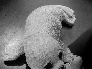 Paméla Anderson à la Fondation Bardot