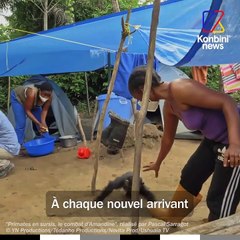 Le combat d’Amandine pour sauver les grands singes | Speech