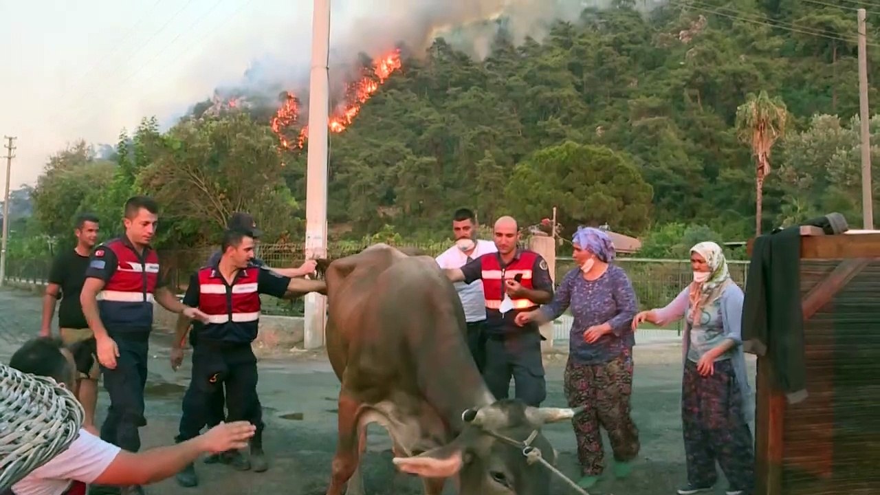 'Tripla ameaça ambiental' para os direitos humanos