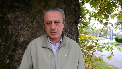 Anıt ağaçların röntgenleri çekiliyor