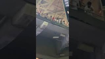 Stadium-Goers Use Flag to Catch Falling Cat