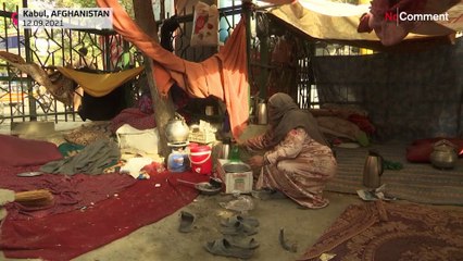 Afghans struggle to survive as Taliban face challenges