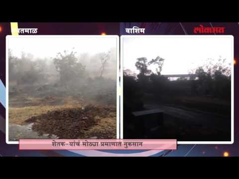 अवकाळी पावसामुळे शेतकरी चिंताग्रस्त
