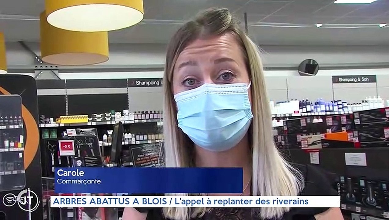 ARBRES ABATTUS À BLOIS / L'appel à replanter des riverains
