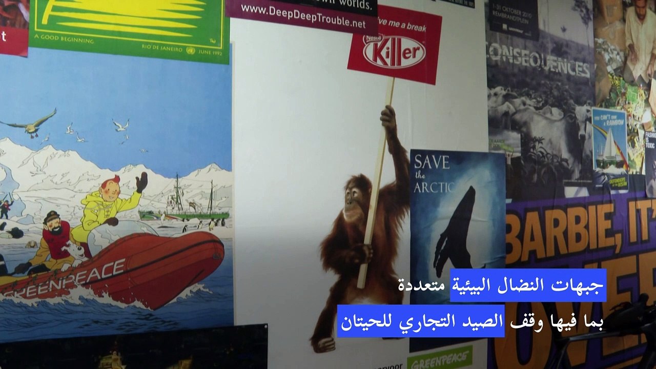 "غرينبيس" في عيدها الخمسين... عزيمة مستمرة لجبه التحديات البيئية