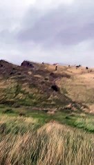 Salisbury Crags fire