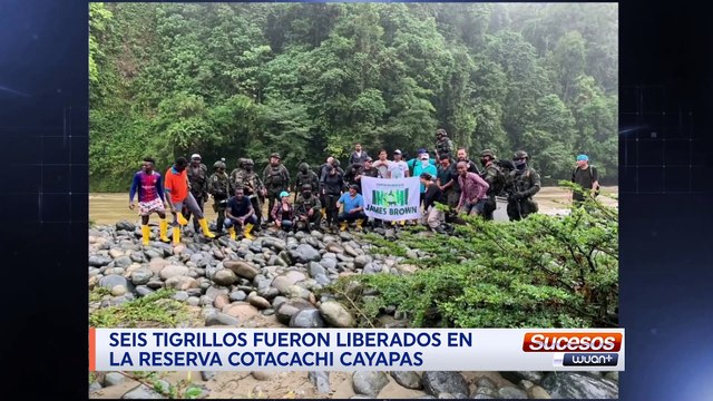 Sucesos WuanPlus | Septiembre 13 - 2021