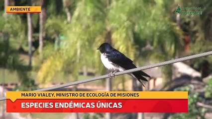 Скачать видео: El Cerrado de San Ignacio con especies endémicas únicas