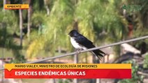 El Cerrado de San Ignacio con especies endémicas únicas