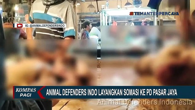 Animal Defenders Somasi PD Pasar Jaya Terkait Kasus Penjualan Daging Anjing